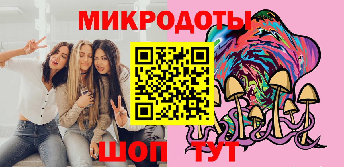 Галлюциногенные грибы Psilocybe Шелехов