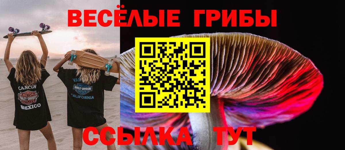 Псилоцибиновые грибы мухоморы  Вход с VPN  Псилоцибиновые грибы Psilocybine cubensis  продажа наркотиков  Шелехов 